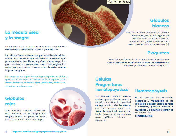 Cáncer Hematológico | Fundación Santa Fe de Bogotá